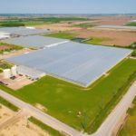 An aerial view of Orangeline Farms. (CNW Group/Mucci Farms)
