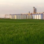 Louis Dreyfus’ grain elevator at Joffre, Alta., northeast of Red Deer. (LDC.com)
