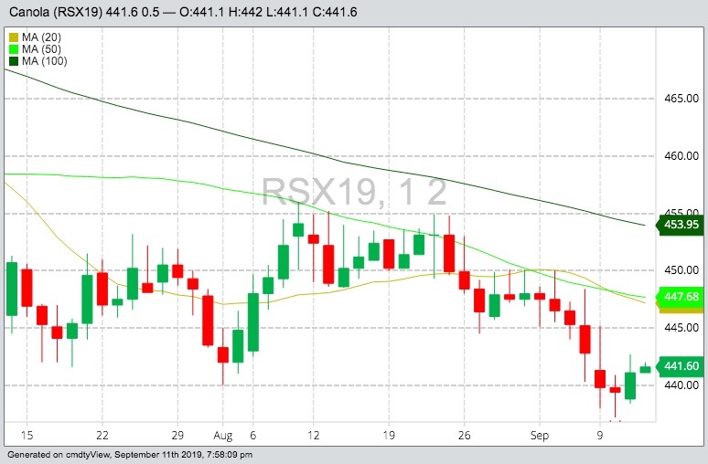 ICE November 2019 canola with 20-, 50- and 100-day moving averages. (Barchart)
