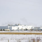 Labour peace will reign again at Maple Leaf Foods in Brandon after workers have endorsed a new collective agreement.