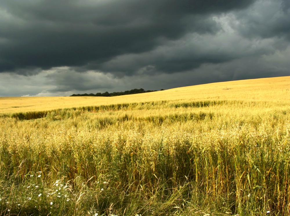 Weather disruptions can lead to production losses across major agriculture-producing regions.