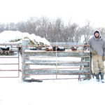 Anthony Wilcox, along with his dad and grandpa, raise purebred Simmental and Speckle Park cattle near Treherne.