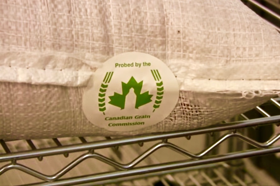 (CGC video screengrab via YouTube)