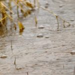 While September did bring some warmth, it also brought record amounts of rain.