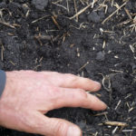 Some people see dirt, but this is soil — a living, dynamic ecosystem and the foundation of farming. Caring for it is crucial for growing healthy crops, now and into the future. Farmers work with agronomists and soil scientists to make decisions to keep our land healthy. We are continually learning how to best do this by testing our soils, choosing proper tillage techniques, rotating our crops, incorporating organic matter and reducing compaction and nutrient loss. Education is ongoing and when we know better, we do better. Soil type, texture, structure and density vary from field to field and farm to farm, so techniques to care for it will also vary. But ultimately farmers strive to be stewards of the land and do their best to care for the soil that sustains us all.