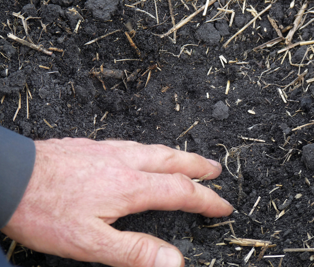 Some people see dirt, but this is soil — a living, dynamic ecosystem and the foundation of farming. Caring for it is crucial for growing healthy crops, now and into the future. Farmers work with agronomists and soil scientists to make decisions to keep our land healthy. We are continually learning how to best do this by testing our soils, choosing proper tillage techniques, rotating our crops, incorporating organic matter and reducing compaction and nutrient loss. Education is ongoing and when we know better, we do better. Soil type, texture, structure and density vary from field to field and farm to farm, so techniques to care for it will also vary. But ultimately farmers strive to be stewards of the land and do their best to care for the soil that sustains us all.