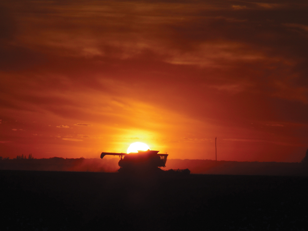 Harvest is the “red-carpet” event of farming, and the combine is the “star.” Supporting roles are for those trucking grain from the field to storage bins, making meals or going for parts when there is a breakdown. It’s an exciting time as you reap the rewards of a full year of planning, working and hoping the weather is favourable for growing healthy crops and allowing you to efficiently harvest them in top condition. This photo captures both the beauty and significance of harvest. The setting sun is over top of the “hopper” where the harvested seeds collect after they have been separated from the stems and leaves. It’s one of my favourite harvest shots.