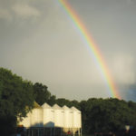 No pot of gold here, but hopefully a sign of just the right amount of rain for the growing season. And ultimately, an abundant harvest that ensures those white storage bins in our farmyard will be filled with grain. We can do absolutely everything to the best of our ability, but Mother Nature holds the cards, determines the outcome — and our income, every single year. I’m not sure it’s a risk you ever get used to, but it’s a reality of farming and the reason we’re so acutely concerned with the weather. It’s the reason many farmers have traits of optimism and resilience to deal with those challenges and keep going year after year.