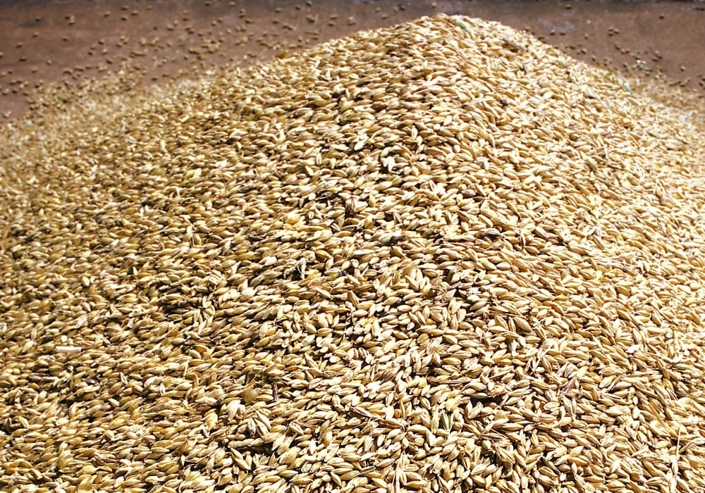 Feed weekly outlook: Buyers not looking to make purchases