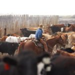 (Photo courtesy Canada Beef Inc.)