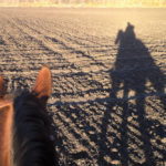 The right combination of horse and rider is very important to the health of the horse.