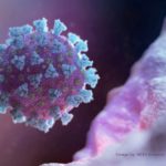An image created by Nexu Science Communication, together with Trinity College in Dublin, shows a model structurally representative of a betacoronavirus, the type of virus linked to COVID-19.