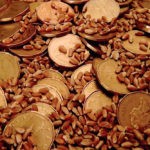 Debate over seed royalties could be nearing end