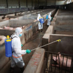 Workers in protective suits disinfect a pig farm as a prevention measure for African swine fever, in Jinhua, Zhejiang province, China, August 22, 2018.