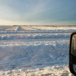 Some of Andre Harpe’s swathed canola is shown in this photo taken Feb. 28.