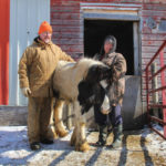 Cora and Karl Hohenberg pose with “April,” a Gypsy cob yearling at their La Broquerie farm.