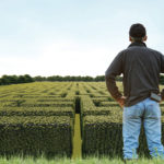 Is the program too complex and ‘unbankable’ to be reformed?