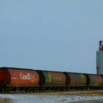 Grain keeps moving despite virus