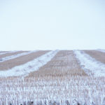 Grain growers are up against an added layer of uncertainty as they get ready for spring seeding and, in some cases, to complete last fall’s harvest.