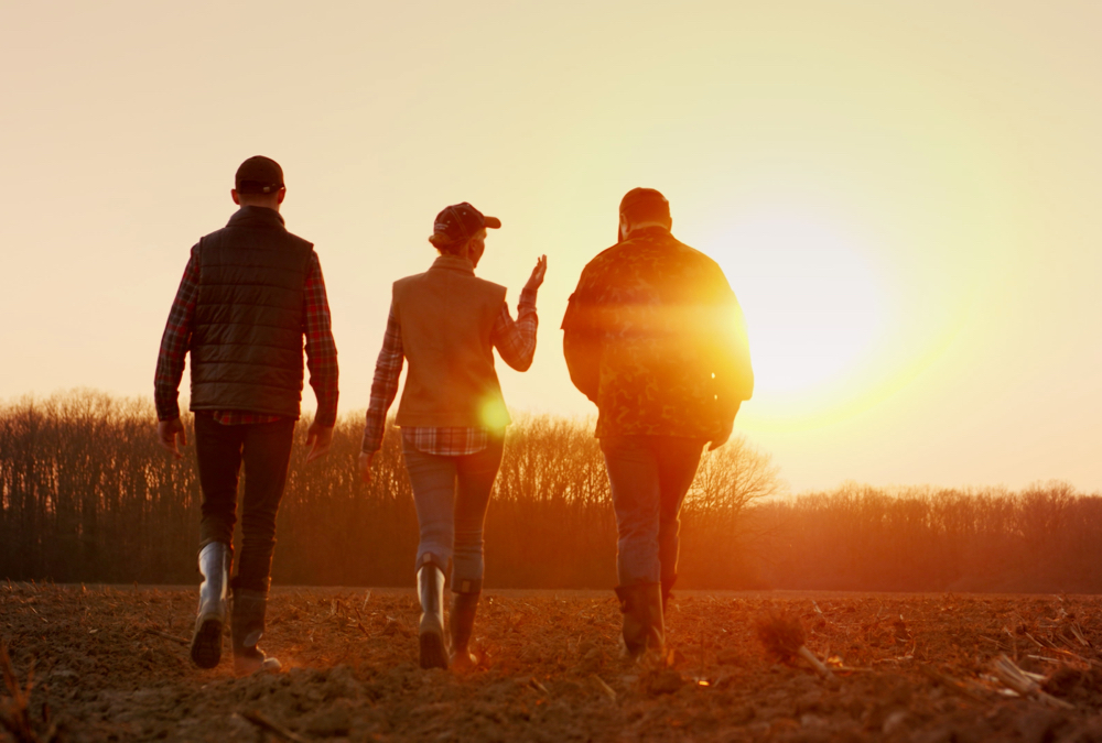 A panel of experienced farmers recently shared with Manitoba Young Farmers about what they did right, and wrong.