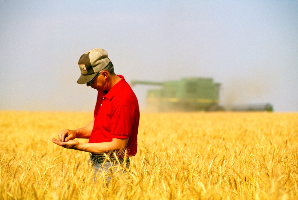“This is not in the interests of Canadian farmers, thus contrary to the CGC mandate,” says the NFU.