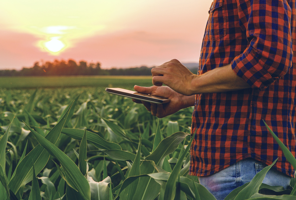 Going paperless: Pandemic makes digital a new reality