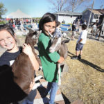These young visitors enjoyed meeting farm animals at Aurora Farm during the 2015 Open Farm Day. That’s now a thing of the past during the ongoing pandemic.