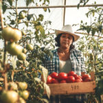 “When Canadians are unavailable or unwilling... farmers need international workers to help grow and harvest food for our tables.” – Canadian Horticultural Council.