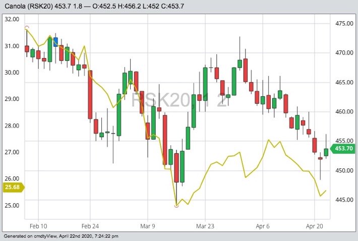 ICE Futures May 2020 canola (candlesticks) and CBOT May 2020 soybean oil (yellow line). (Barchart)
