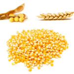 Traders and farmers alike will eventually need some sort of guidance as to what’s being planted in 2020.