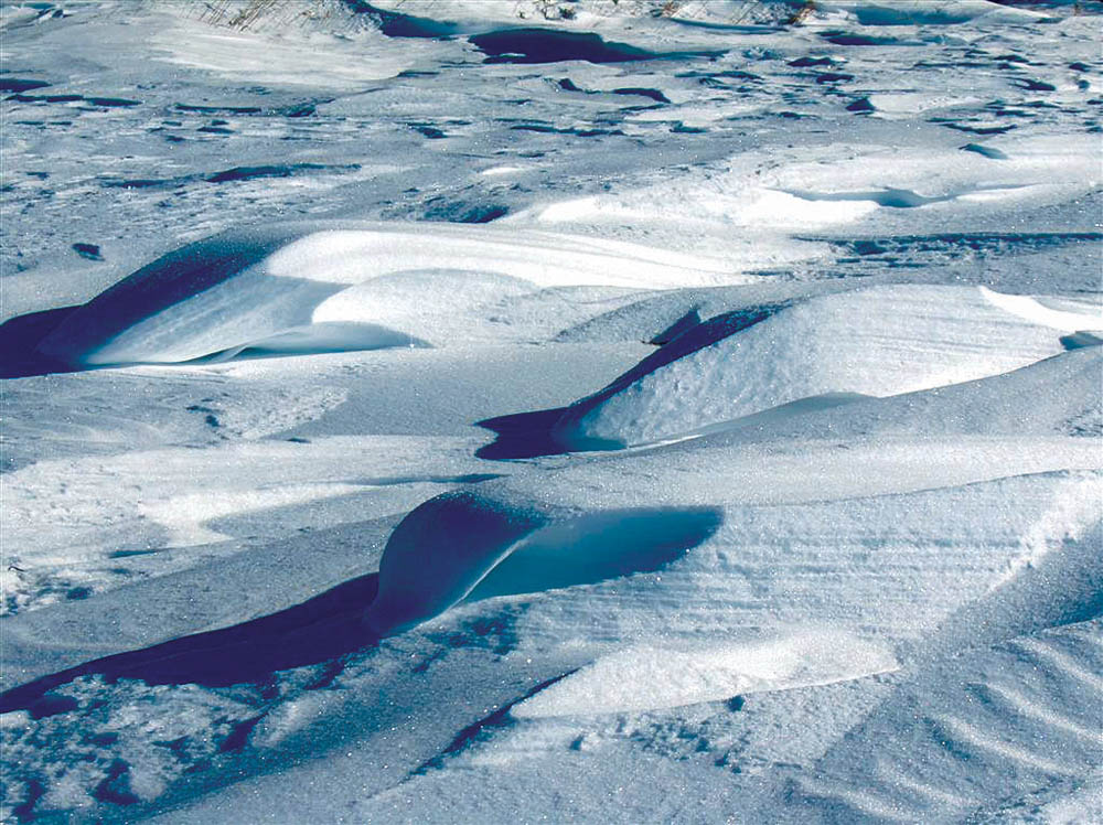 Wind is one of the constant aspects of weather affecting just about everyone on Earth no matter where  they live. 
