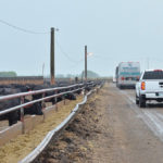 Cattle backgrounders like Norman Anderson and Son’s farm near Souris, seen here during a farm tour, are feeling the pinch of lost processing capacity the most.