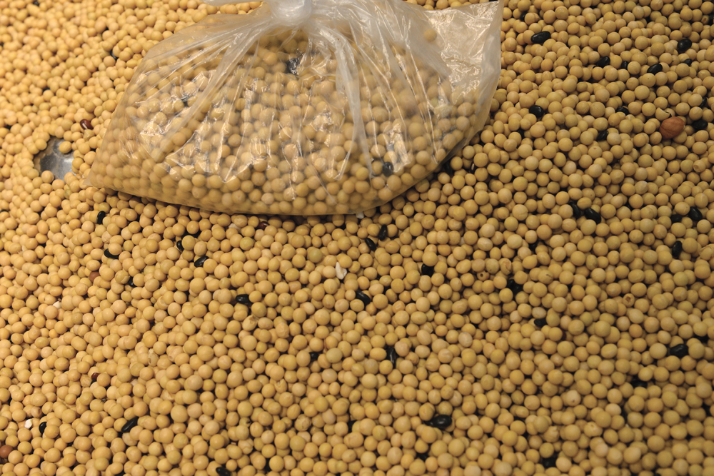 A bag of beans sits atop bulk soybeans at a Walmart in Beijing on Sept. 23, 2019.