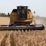 Soybeans are harvested on a farm on the outskirts of San Jose, in southern Uruguay in this file photo. The latest market intelligence says that country will produce fewer soybeans this season.