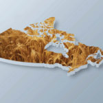 Maintaining Cigi’s brand is critical, officials from both organizations say.