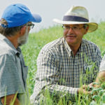 David Rourke (right) takes a closer look at a green manure blend during an organic field tour near Boissevain this summer.