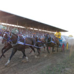 Manitoba Stampede, July 2019.
