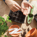 A more secure seed supply will mean a more secure food supply, the non-profit SeedChange says.