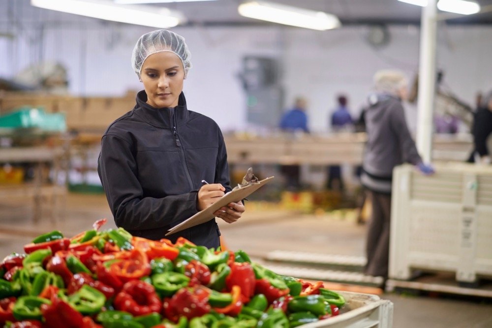 File photo of a quality control check on fresh peppers in a Canadian vegetable packing plant. (Jeffbergen/E+Getty Images)
