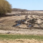 Seeding season is underway, but many producers are facing fields like this one near Somerset.