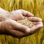 “If something goes through these rigorous procedures... and a year later it’s being grown somewhere else, that’s a problem.” – Todd Hyra, SeCan