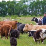 Michelle Shram and Troy Stozek have seen increased sales of their grass-fed beef and lamb.