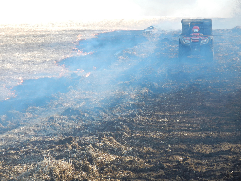 PHOTOS: Harvest up in smoke