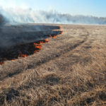 PHOTOS: Harvest up in smoke
