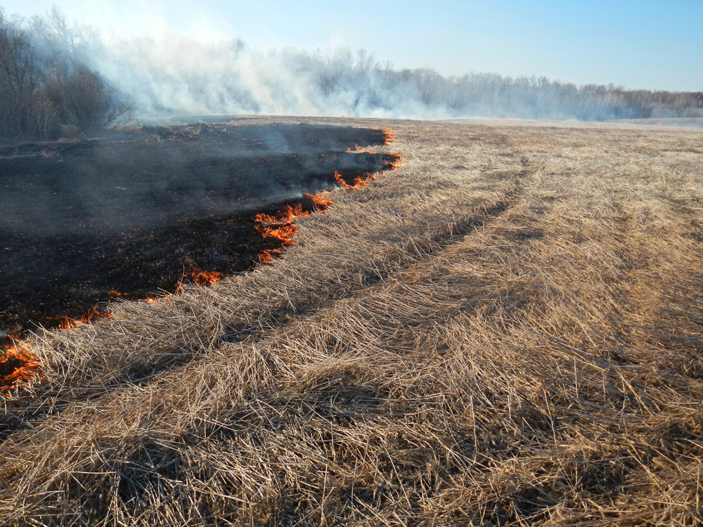 PHOTOS: Harvest up in smoke