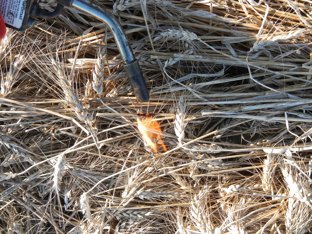 PHOTOS: Harvest up in smoke