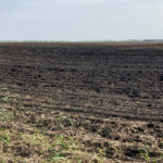 A field in the Interlake, May 23. Some fields in Manitoba are in need of rain while others have been so wet they've sunk equipment up to the axles in mud.