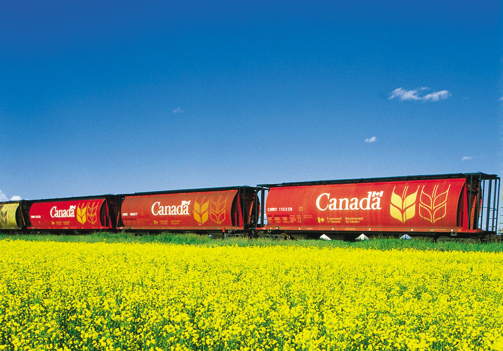 Record grain movement in May