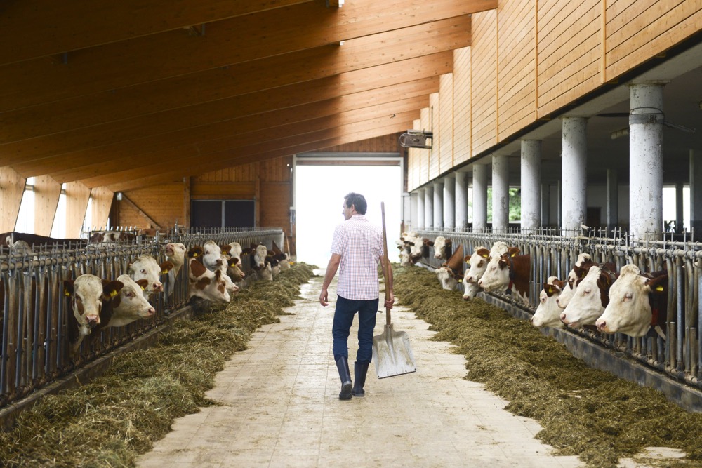 “It’s Good, Canada” will share personal stories of Canadians working across the food supply chain.