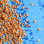 (Jack Dykinga photo courtesy ARS/USDA)
